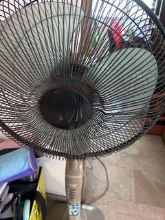 (Category: ) located in . Submitted by 27s8thfzpx18594 (Listing ID 1458534540, Image 1). Description: .