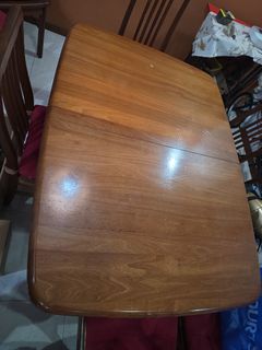 (Category: ) located in . Submitted by plantstudiosg (Listing ID 1458616983, Image 1). Description: .