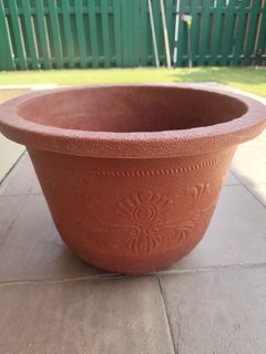 (Category: ) located in . Submitted by gardensnick (Listing ID 1458646054, Image 1). Description: .