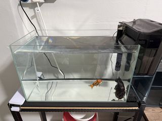 (Category: ) located in . Submitted by shrimpsnplants (Listing ID 1458754230, Image 1). Description: .