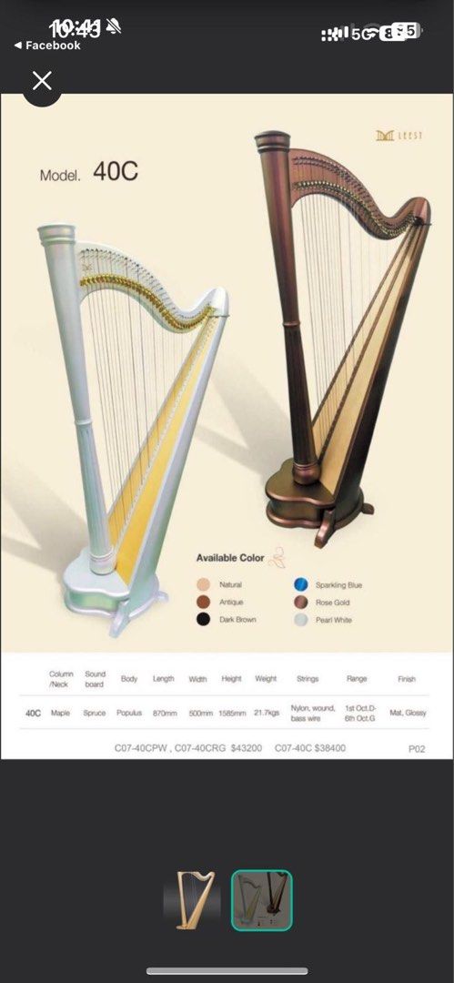 竪琴 LEEST 40C Harp - Maple Column, Spruce Soundboard （分類：樂器）位於 Hong Kong。 由 bogumseol 提交（商品編號 1458693572，圖片 2）。簡介： LEEST 40C harp for sale. Maple column and spruce soundboard. Nylon wound bass strings.。