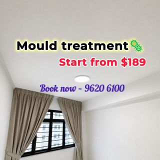 Anti-Mould Treatment  Collection item 2