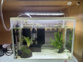 (Category: ) located in . Submitted by keykeymo (Listing ID 1458750442, Image 1). Description: .