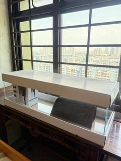 (Category: ) located in . Submitted by ryankwek (Listing ID 1458809706, Image 1). Description: .