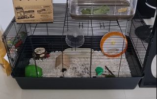 (Category: ) located in . Submitted by yeohmint (Listing ID 1458731358, Image 1). Description: .