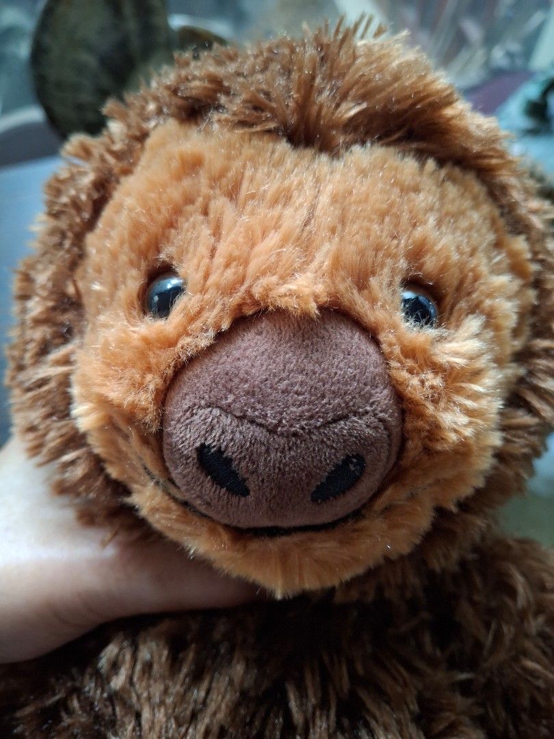 Dragons Build A Bear Sloth Stuffed Toy (Category: Plushies & Soft Toys) located in Quezon City. Submitted by pure_trinsky (Listing ID 1458709702, Image 3). Description: *as is *collectible item *original Build A Bear *big Sloth stuffed toy * velcro - can attach both hands and feet.
