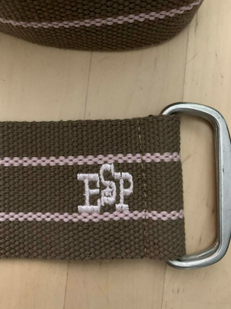 ESP Embroidered Woven Belt (Category: Belts) located in Manila. Submitted by musedeclutters (Listing ID 1458755863, Image 2). Description: Brown woven canvas with lavender stripes, embroidered ESP detail, and silver-tone buckle..