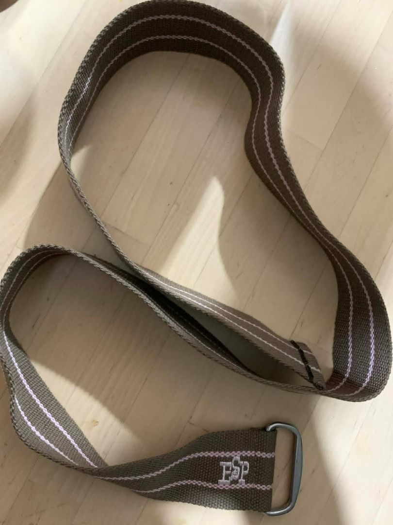 ESP Embroidered Woven Belt (Category: Belts) located in Manila. Submitted by musedeclutters (Listing ID 1458755863, Image 3). Description: Brown woven canvas with lavender stripes, embroidered ESP detail, and silver-tone buckle..