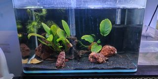 (Category: ) located in . Submitted by munirvh (Listing ID 1456769135, Image 1). Description: .