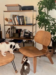 (Category: ) located in . Submitted by everydaydeclutterin (Listing ID 1458820966, Image 1). Description: .
