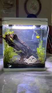 (Category: ) located in . Submitted by its_mibs (Listing ID 1458729941, Image 1). Description: .
