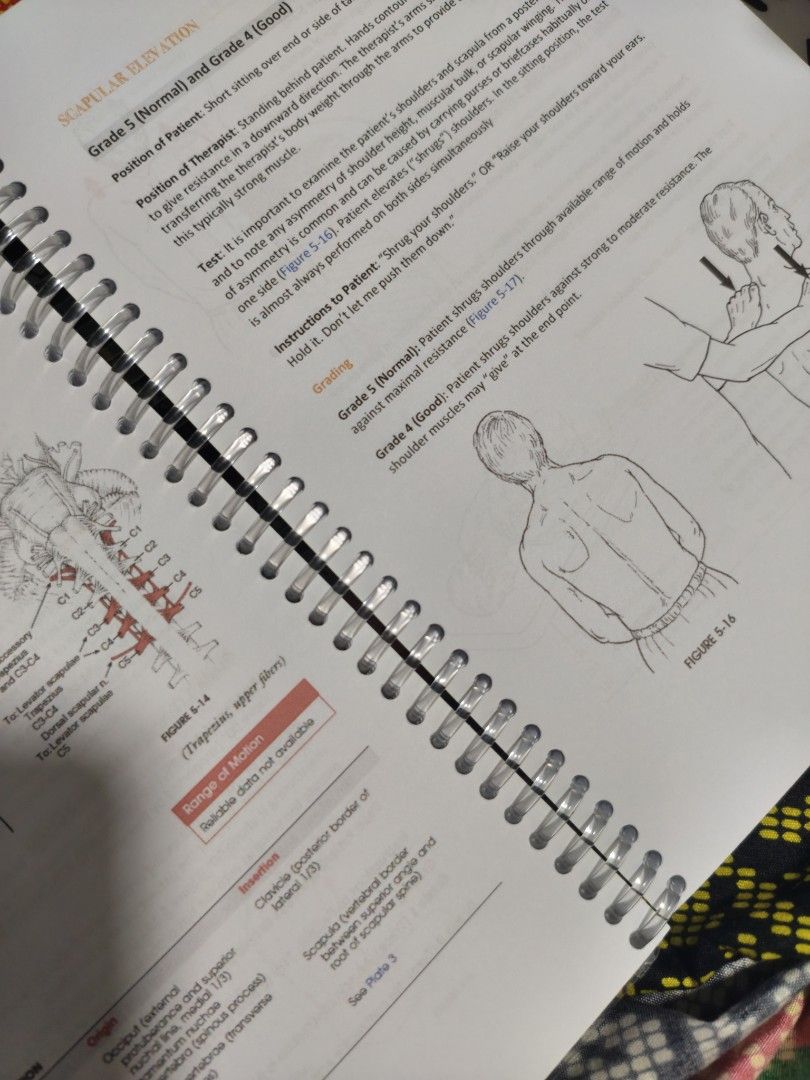 PT Flashcards Manual Muscle Testing & Special Test Booklets (Category: Textbooks) located in San Juan City. Submitted by solnbart (Listing ID 1458863741, Image 2). Description: 350.