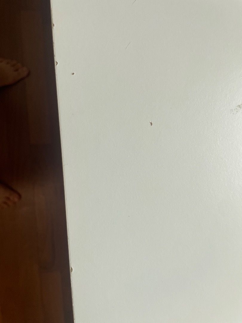Study table (Category: Tables & Sets) located in Singapore. Submitted by joyful0102 (Listing ID 1458717652, Image 3). Description: .