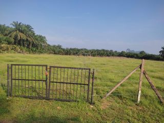 (Category: ) located in . Submitted by noorshimahazimah (Listing ID 1451496314, Image 1). Description: .