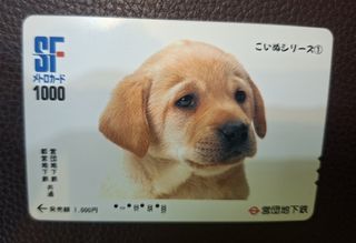 （分類：）位於 。 由 disneyjpass 提交（商品編號 1458698508，圖片 1）。簡介： 。