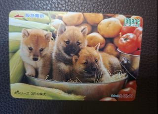 （分類：）位於 。 由 disneyjpass 提交（商品編號 1458743470，圖片 1）。簡介： 。