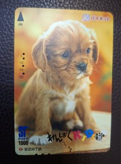 （分類：）位於 。 由 disneyjpass 提交（商品編號 1458831733，圖片 1）。簡介： 。