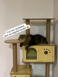 (Category: ) located in . Submitted by kitzmom (Listing ID 1453648230, Image 1). Description: .