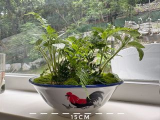 （分類：）位於 。 由 parttime_cleaner 提交（商品編號 1453639292，圖片 1）。簡介： 。