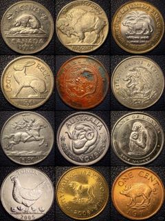 （分類：）位於 。 由 rtfdtfgd6677251 提交（商品編號 1453684073，圖片 1）。簡介： 。