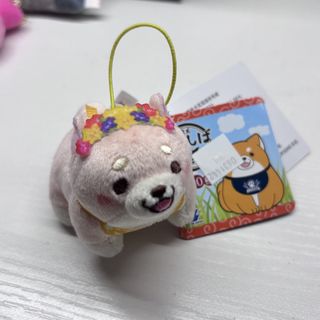 （分類：）位於 。 由 katunggg 提交（商品編號 1453742579，圖片 1）。簡介： 。