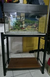 (Category: ) located in . Submitted by nazscorp_crystal (Listing ID 1453739284, Image 1). Description: .