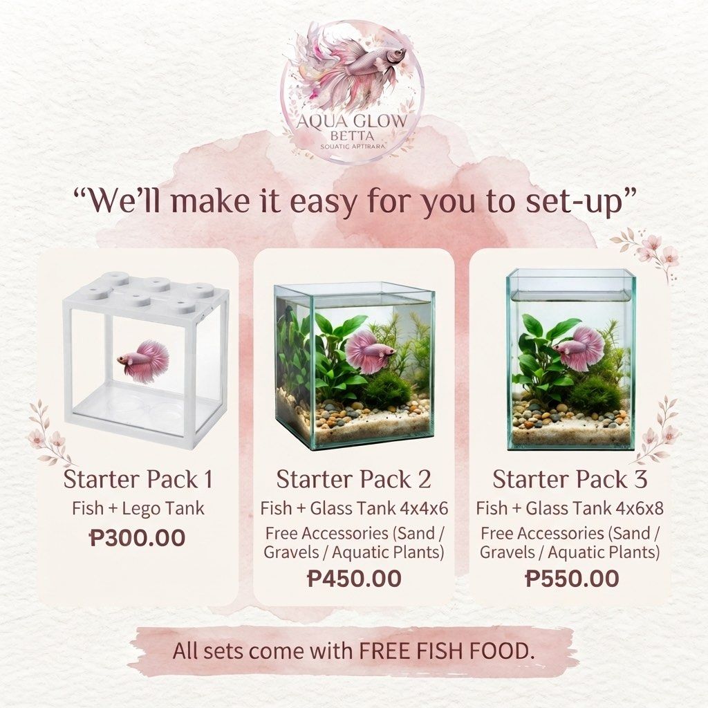 Aqua Glow Betta Starter Pack 2 - Glass Tank (Category: Homes & Other Pet Accessories) located in Baguio. Submitted by erblush (Listing ID 1453625923, Image 2). Description: - Betta fish starter pack - 4x4x6 glass tank included - Free accessories: sand, gravel, aquatic plants - Free fish food with every set - Perfect for a new betta home.