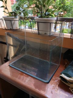 (Category: ) located in . Submitted by BlueStar_Group (Listing ID 1453650712, Image 1). Description: .