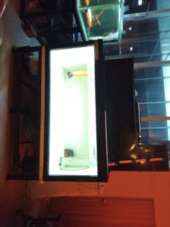 (Category: ) located in . Submitted by somersetlobang (Listing ID 1453732661, Image 1). Description: .