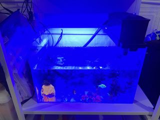(Category: ) located in . Submitted by w7xp4r72jj (Listing ID 1453802107, Image 1). Description: .