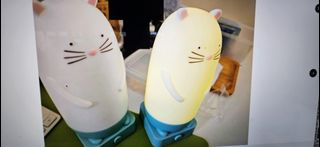 （分類：）位於 。 由 bellamio 提交（商品編號 1453661000，圖片 1）。簡介： 。
