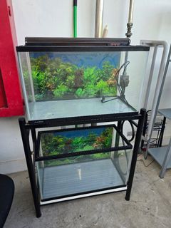(Category: ) located in . Submitted by anamas (Listing ID 1453656861, Image 1). Description: .