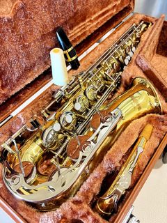 🎓 Beginner / Student Recommended 收藏品 1