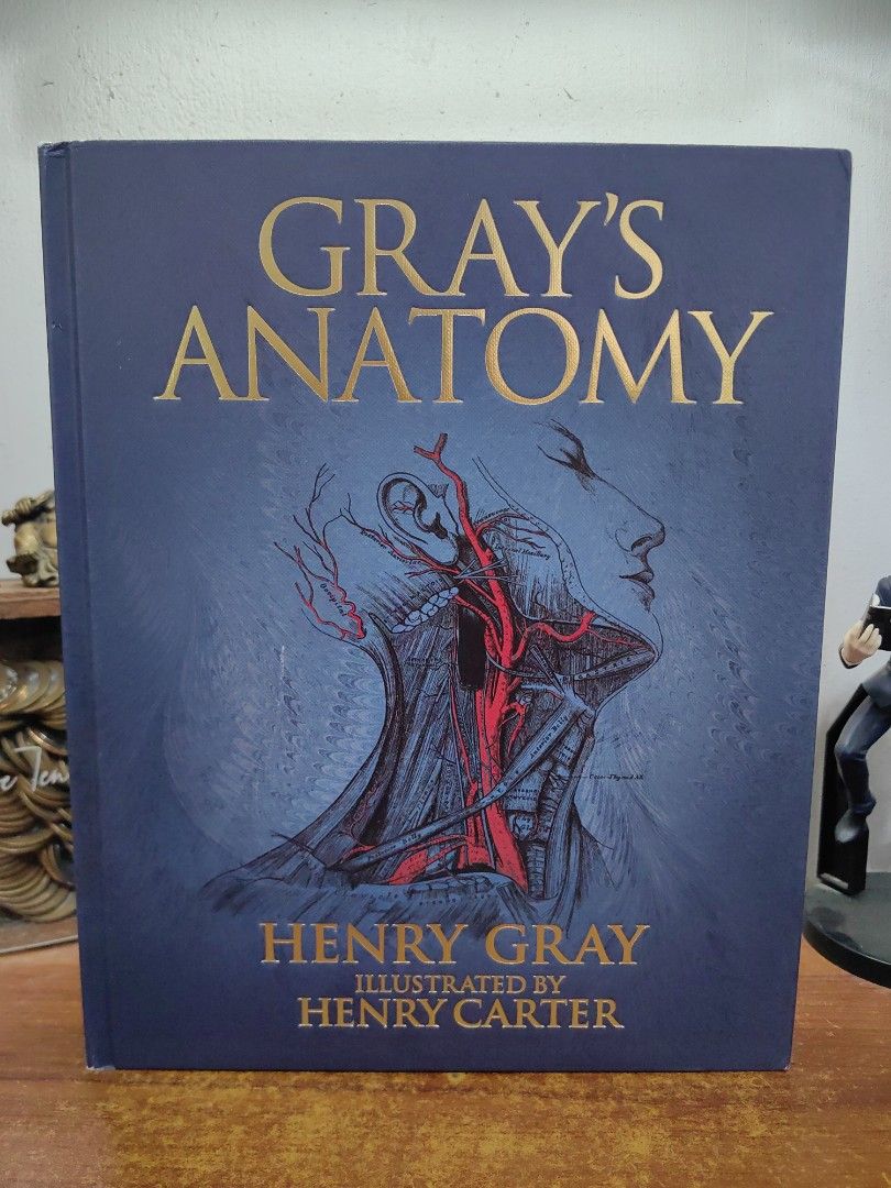 Gray's Anatomy Deluxe Edition (Category: Storybooks) located in Tarlac. Submitted by chapterse7en (Listing ID 1453645602, Image 2). Description: IMPORTANT: Serious buyers only. Lowballers and unresponsive buyers who ghost the chat will be automatically BLOCKED. Please do not message if you have no real intention of purchasing. Thank you for respecting my time. Brandnew Large Hardcover May have minor dents on its corners due to transit from US to 