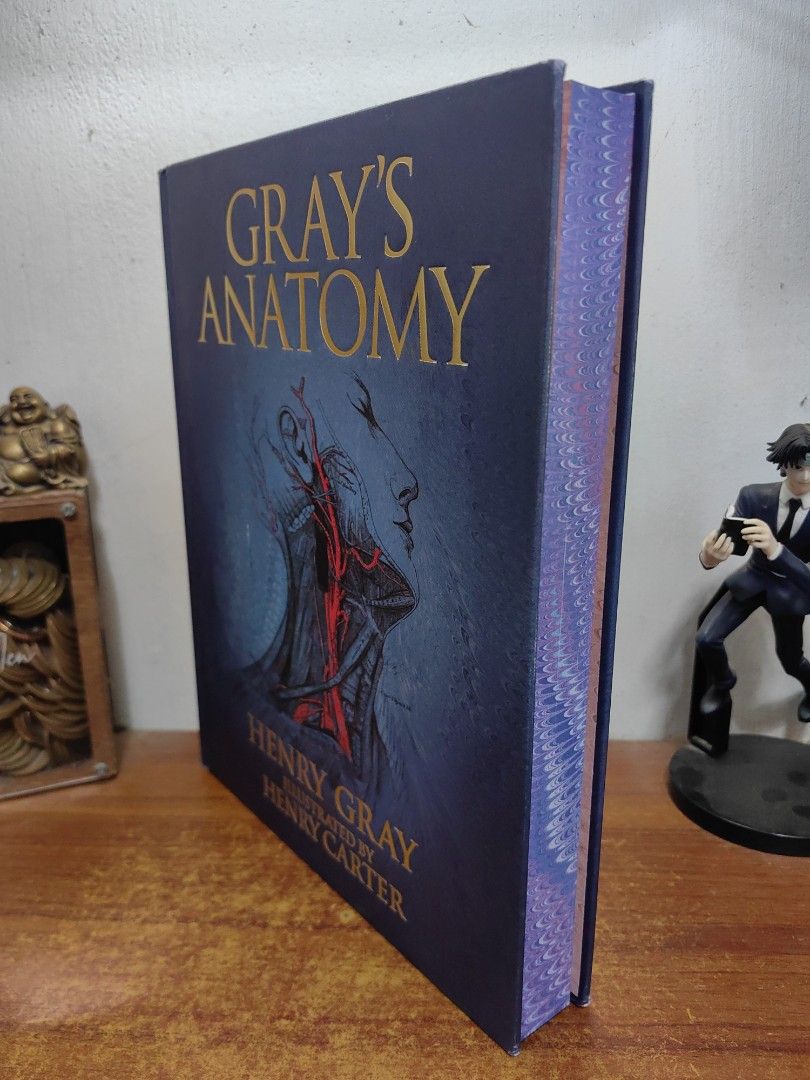 Gray's Anatomy Deluxe Edition (Category: Storybooks) located in Tarlac. Submitted by chapterse7en (Listing ID 1453645602, Image 3). Description: IMPORTANT: Serious buyers only. Lowballers and unresponsive buyers who ghost the chat will be automatically BLOCKED. Please do not message if you have no real intention of purchasing. Thank you for respecting my time. Brandnew Large Hardcover May have minor dents on its corners due to transit from US to 
