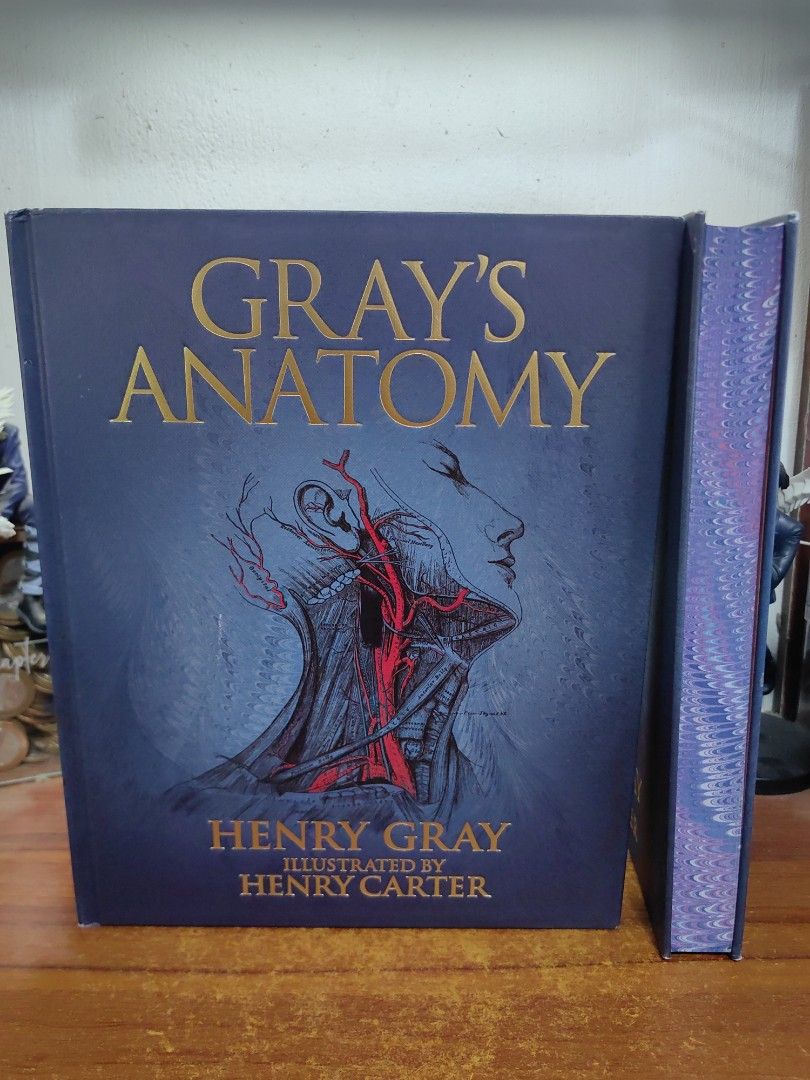 Gray's Anatomy Deluxe Edition (Category: Storybooks) located in Tarlac. Submitted by chapterse7en (Listing ID 1453645602, Image 1). Description: IMPORTANT: Serious buyers only. Lowballers and unresponsive buyers who ghost the chat will be automatically BLOCKED. Please do not message if you have no real intention of purchasing. Thank you for respecting my time. Brandnew Large Hardcover May have minor dents on its corners due to transit from US to 