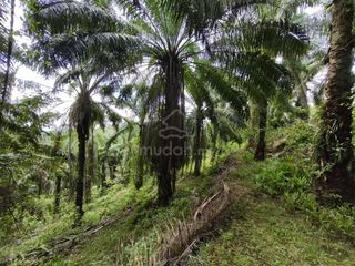 (Category: ) located in . Submitted by mudah892749 (Listing ID 1449722695, Image 1). Description: .