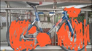(Category: ) located in . Submitted by rarehorse.504c53 (Listing ID 1453646180, Image 1). Description: .