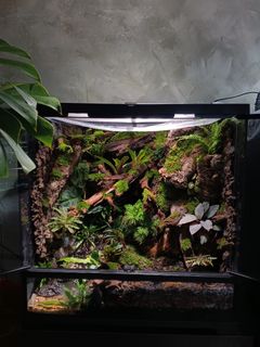 (Category: ) located in . Submitted by natzum6 (Listing ID 1453751874, Image 1). Description: .