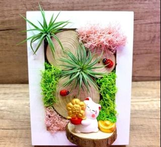(Category: ) located in . Submitted by lushglassdoor (Listing ID 1453695335, Image 1). Description: .