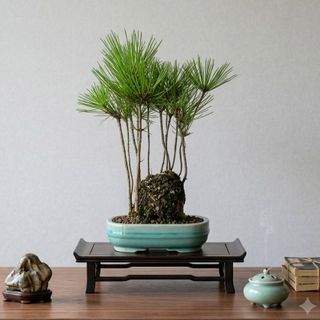 (Category: ) located in . Submitted by juliusng (Listing ID 1453731583, Image 1). Description: .