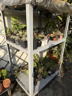 (Category: ) located in . Submitted by gun_dam (Listing ID 1453908764, Image 1). Description: .
