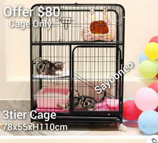 (Category: ) located in . Submitted by petstyle888 (Listing ID 1453858246, Image 1). Description: .