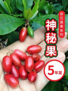 （分類：）位於 。 由 greennook 提交（商品編號 1453914639，圖片 1）。簡介： 。