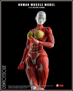 (Category: ) located in . Submitted by dewtoystore (Listing ID 1453961070, Image 1). Description: .
