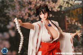 1/6 可動人偶 Collection item 1