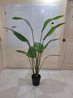 (Category: ) located in . Submitted by hibiscusmy (Listing ID 1453900449, Image 1). Description: .