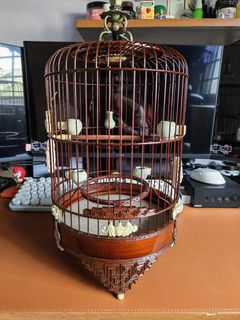 (Category: ) located in . Submitted by acapisangb73246 (Listing ID 1453934756, Image 1). Description: .