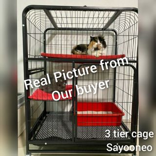 (Category: ) located in . Submitted by petstyle888 (Listing ID 1453858594, Image 1). Description: .