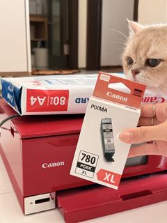 (Category: ) located in . Submitted by tokyo.cat (Listing ID 1453824497, Image 1). Description: .